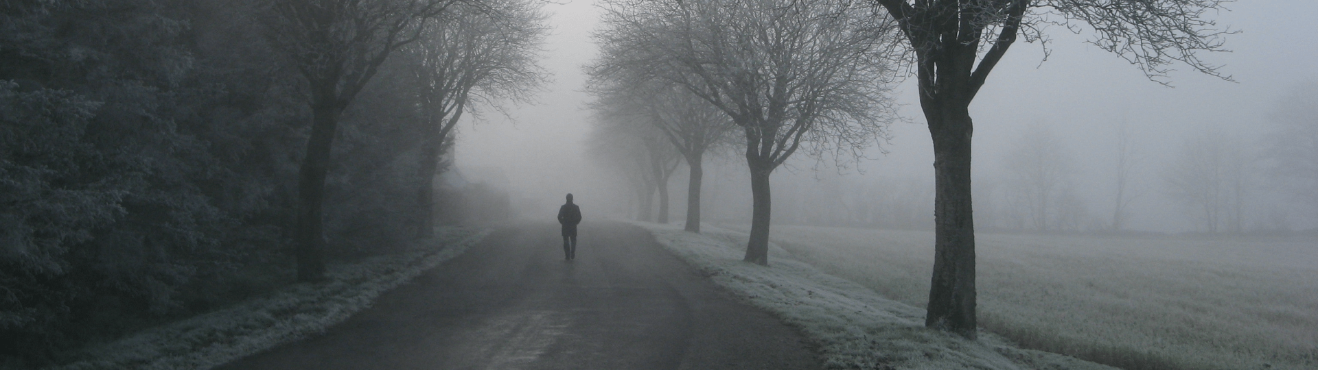 Social Isolation and Loneliness in Seniors